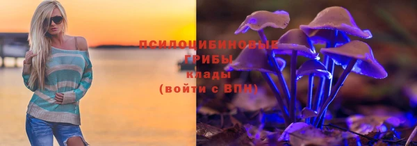 твердый Арсеньев